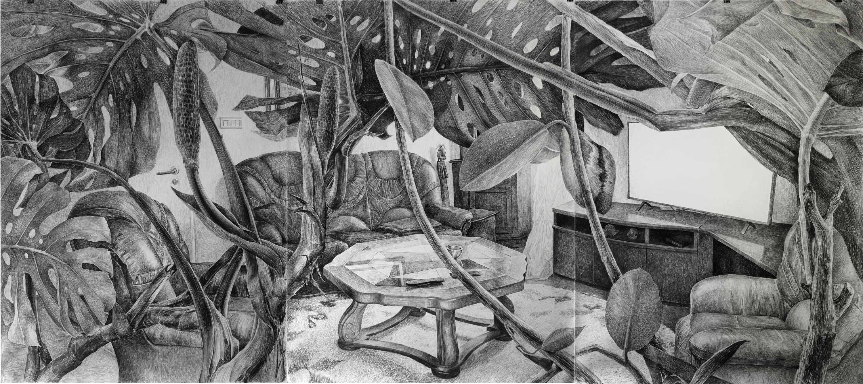 Observation, Charcoal on paper