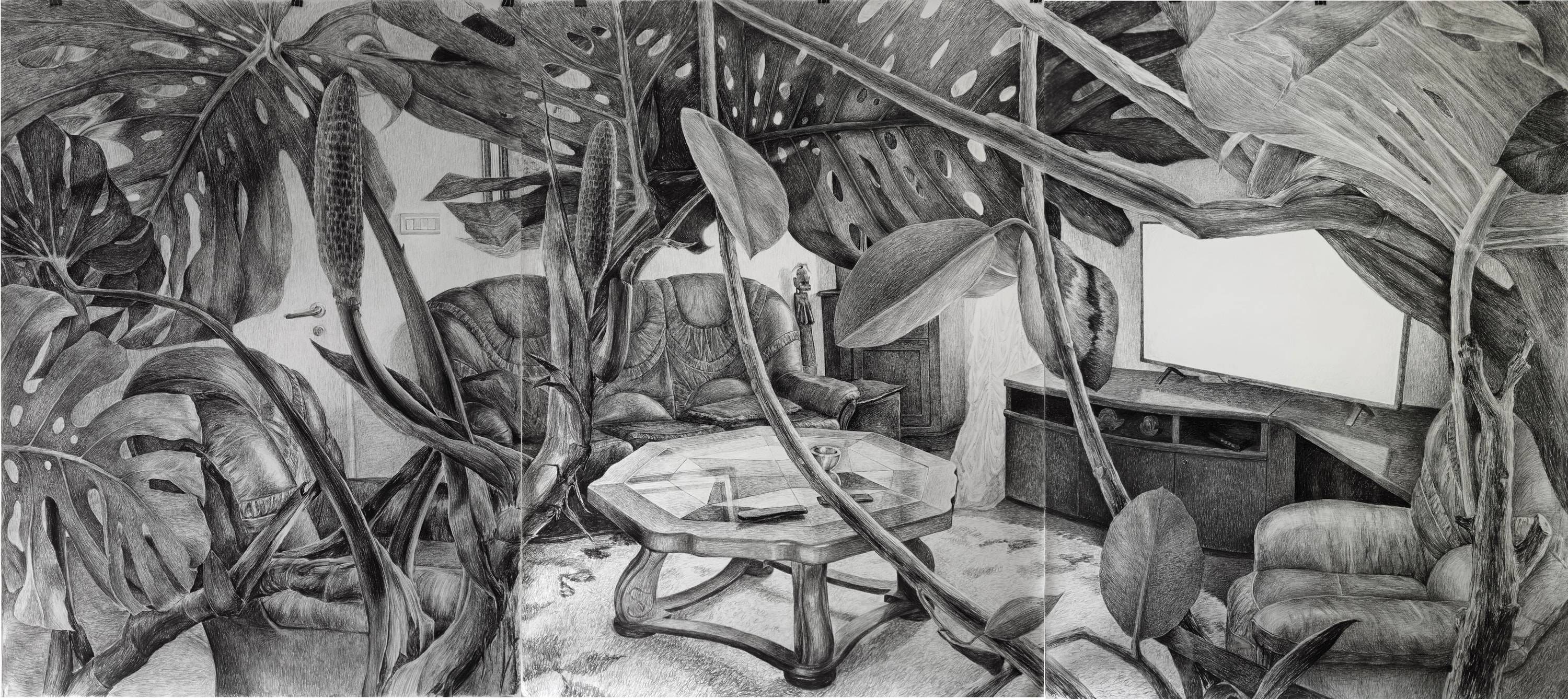 Observation, Charcoal on paper